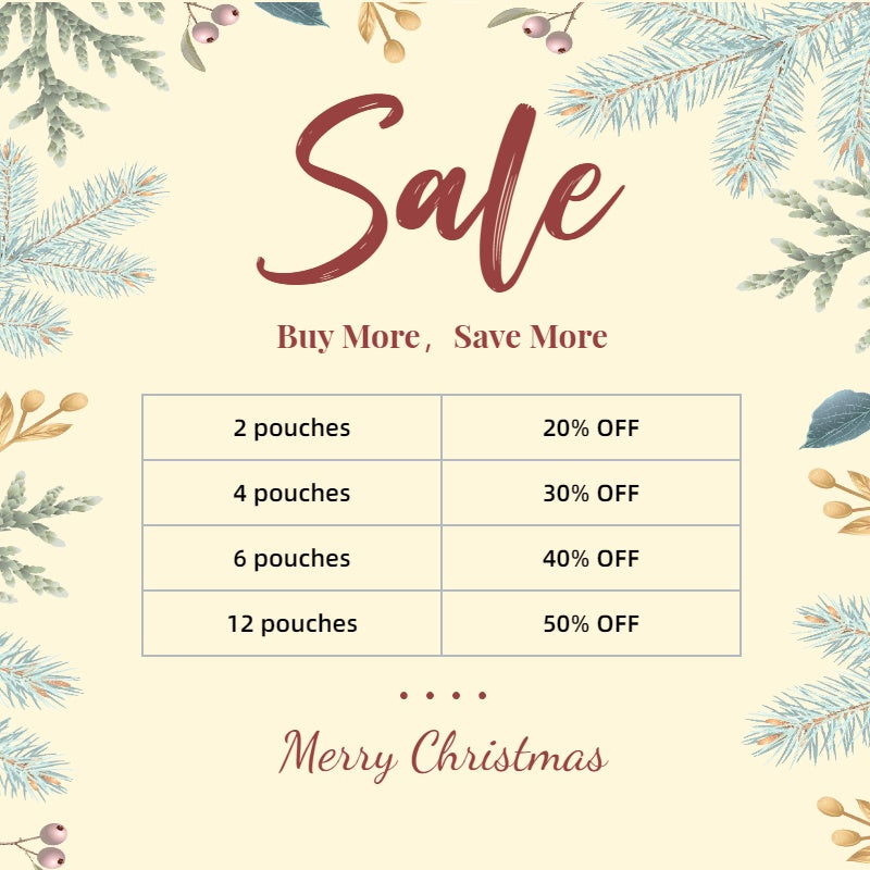 Christmas Mini Zippered Pouch