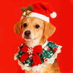 🎄Christmas Collar- Festive Lace Ruffle Scarf for Dogs and Cats