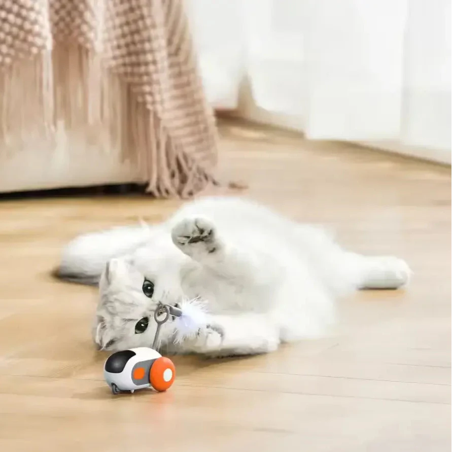 TURBO TAIL 2.0 (Buy2, Get1 Free)