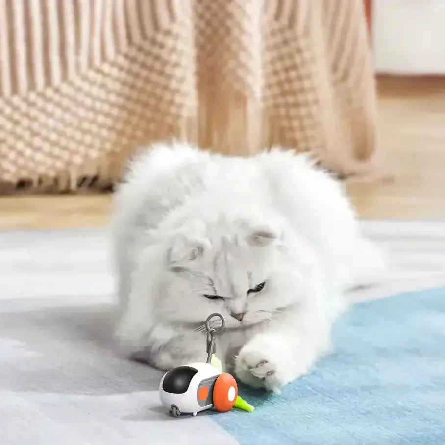 TURBO TAIL 2.0 (Buy2, Get1 Free)