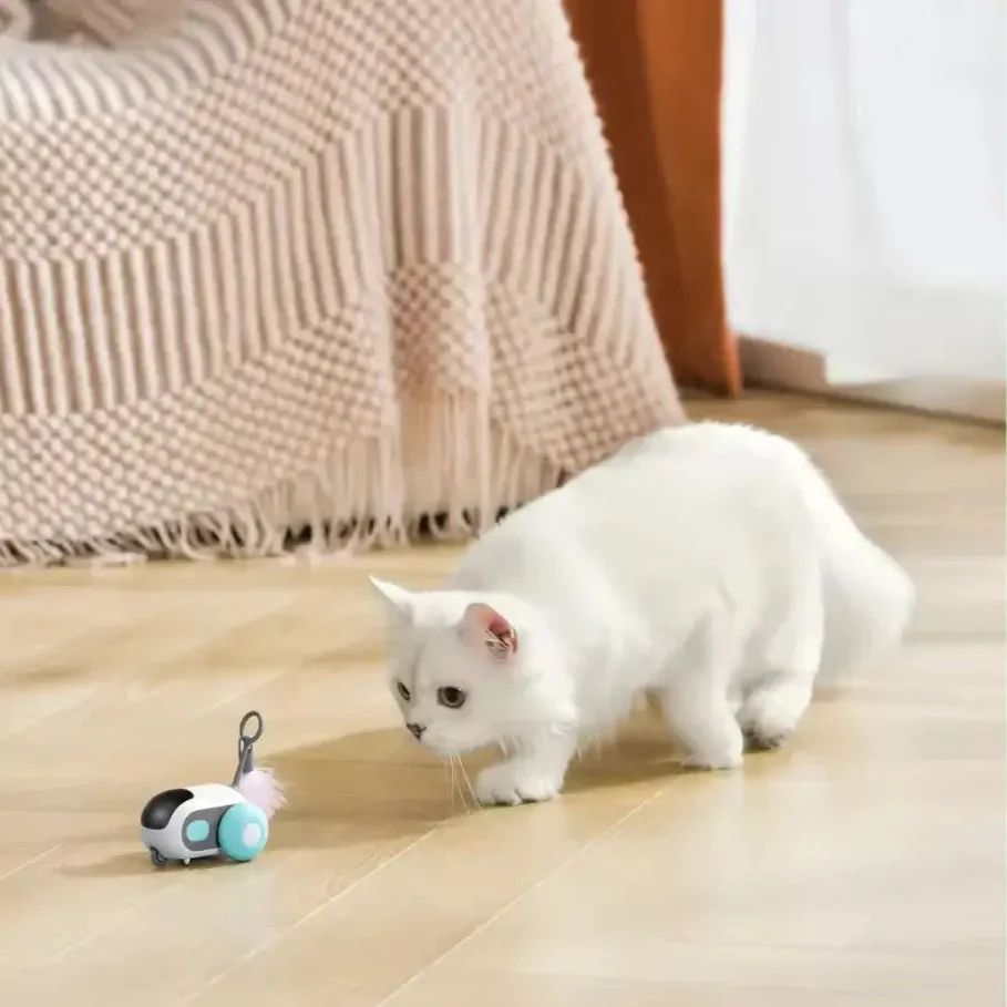 TURBO TAIL 2.0 (Buy2, Get1 Free)