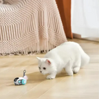 TURBO TAIL 2.0 (Buy2, Get1 Free)