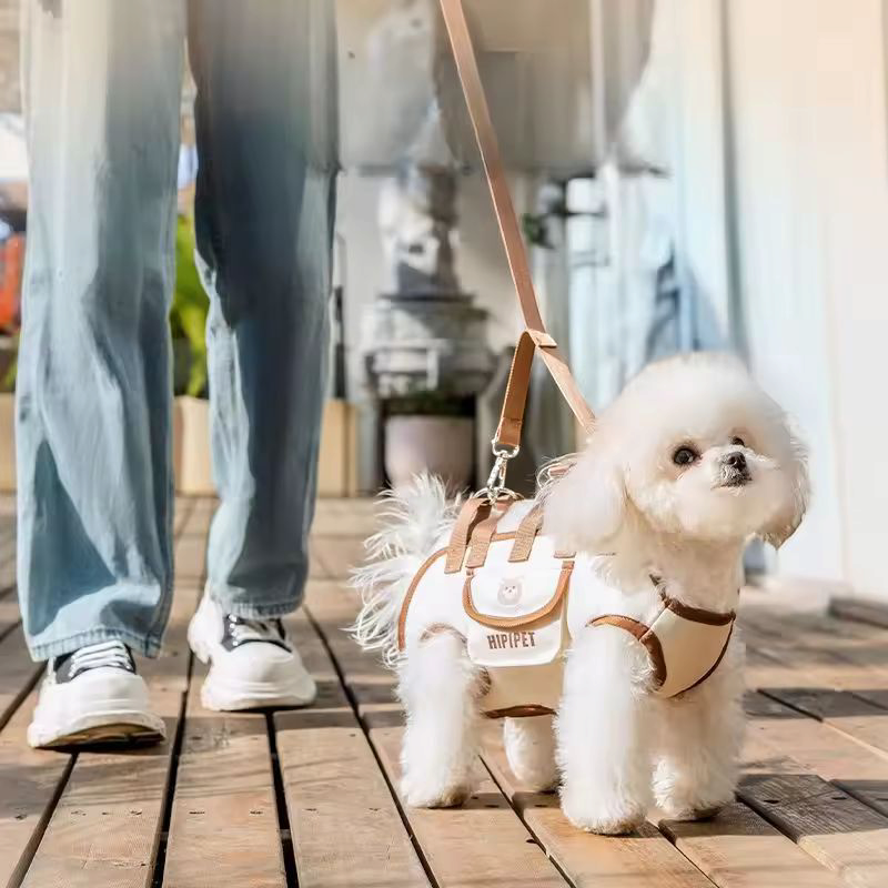 Multifunctional Pet Leash Backpack, hand-carry, crossbody, lightweight travel carry essential