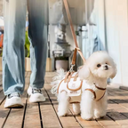 Multifunctional Pet Leash Backpack, hand-carry, crossbody, lightweight travel carry essential